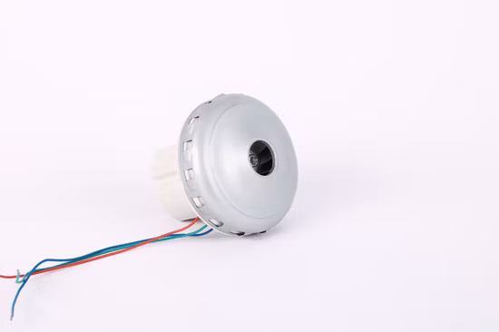 12V 1200W Handheld High Speed BLDC/ Brushless DC Vacuum Cleaner Motor/ Sweeping Machine/ Sweeping Cars/ Spraying Vehicle/ Floor Scrubber