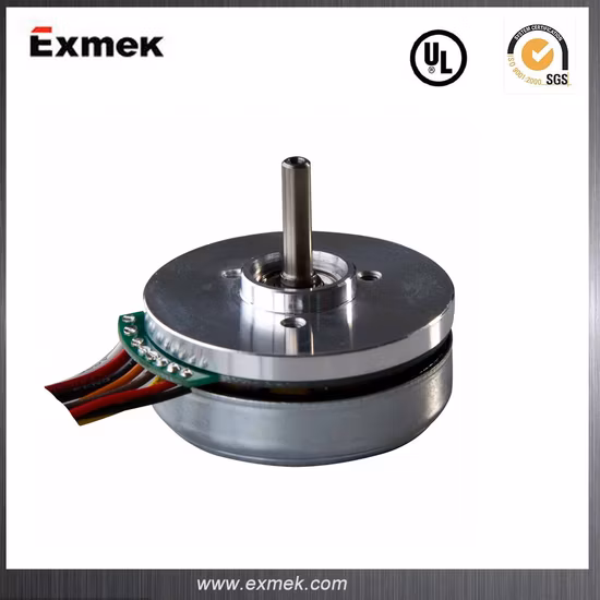 45 mm 24 V 30 W 6500 U/min DC bürstenloser Außenrotormotor